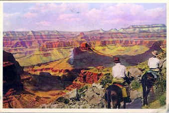 naitonal park postcard grand canyon mule trip300.jpg (428445 bytes)